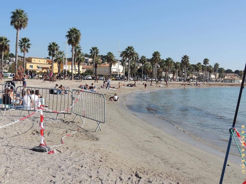 2024 11 02 EN FLANANT SUR SANARY (113).jpg